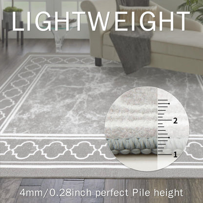 KUETH 2'x3' Area Rugs for Living Room, Non-Slip Washable Vintage Indoor Rugs Suitable for Bedroom, Geometric Print Carpet Chenille Mat Kitchen Bathroom Dining Room (Gray/White)